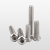 Half Round Head Hexagon Socket Bolt